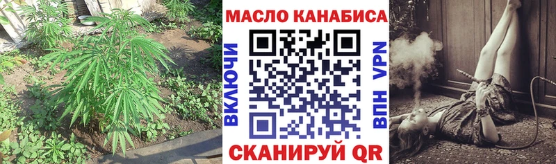 Купить где  Шацк  Дистиллят ТГК Wax 
